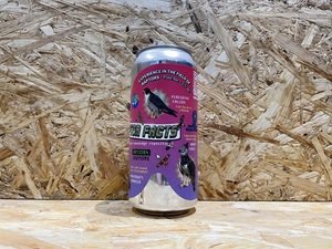 Sureshot Brewing // Experience In The Field of Raptors // 5.0% // 440ml